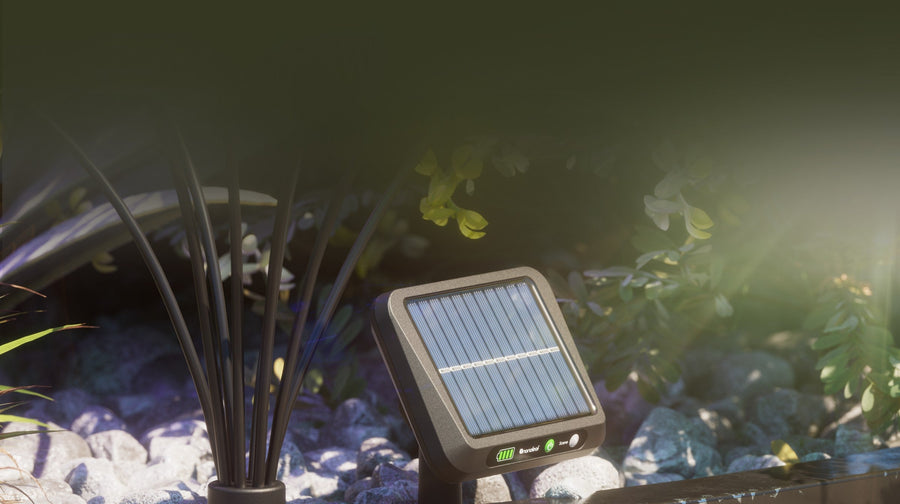 OFF in Daylight to Auto Charge